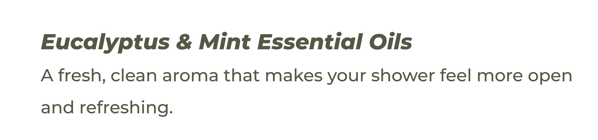 Homepage slide