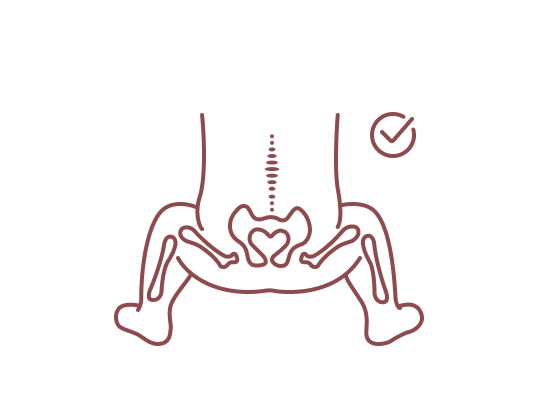 Baby Carrier